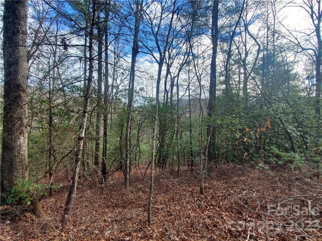 Tbd Green Hollow Lane