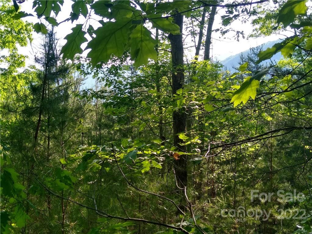 Lot 221 Davids Drive