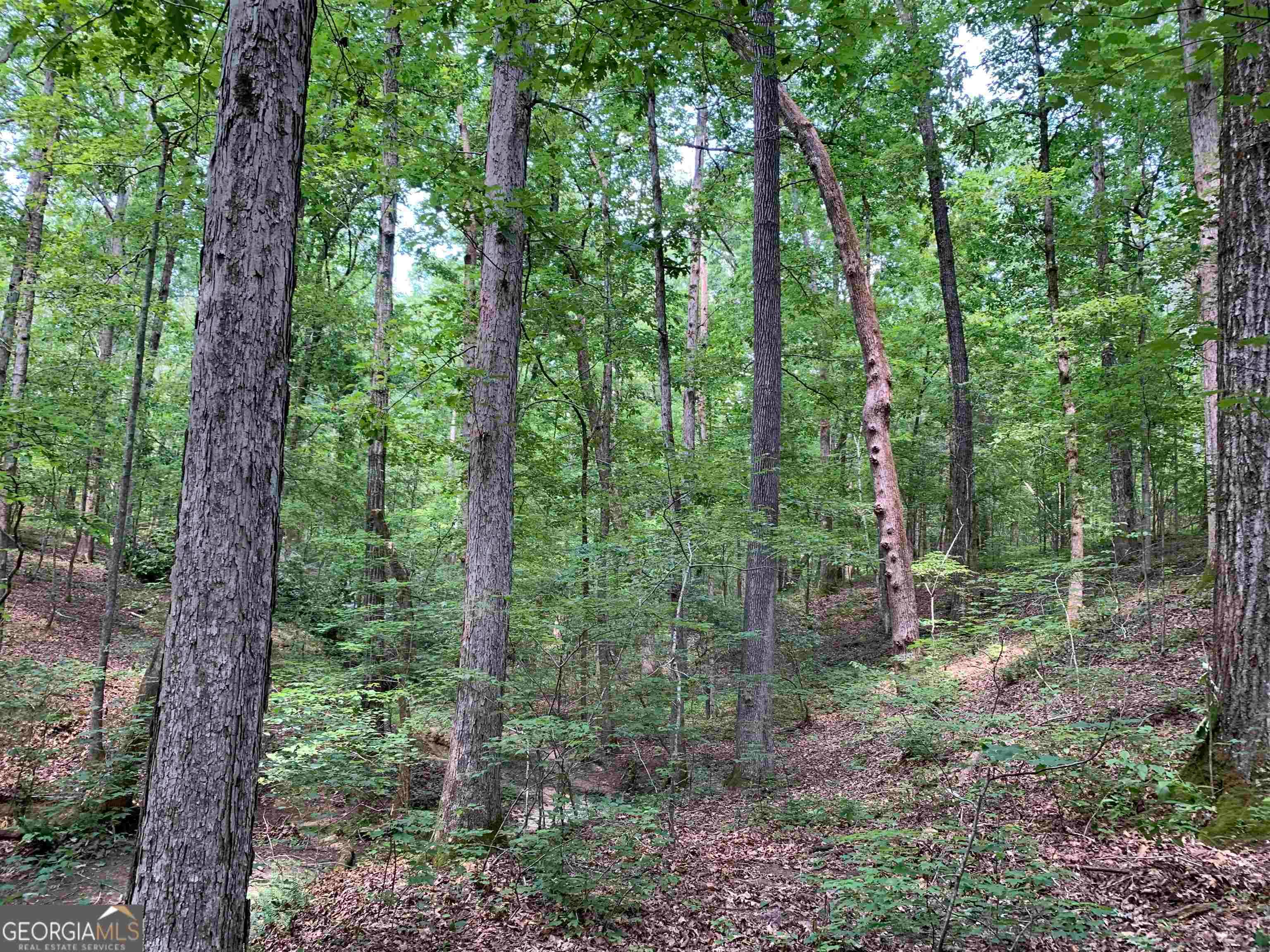 2 Farmington Road