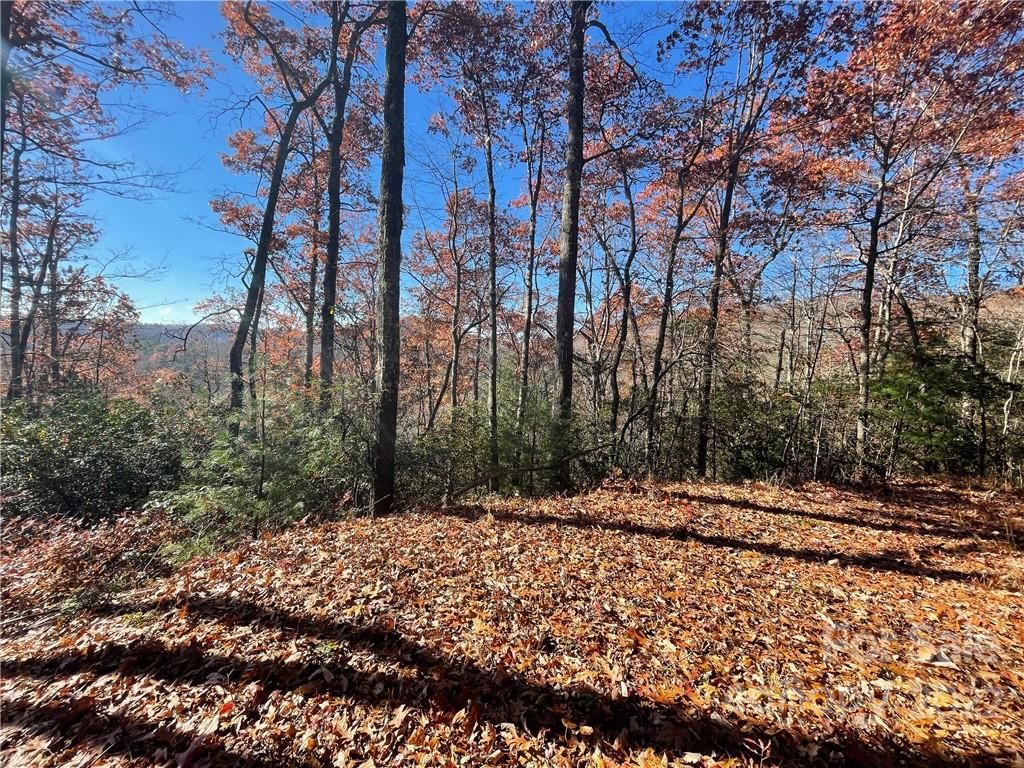 Lot 134 Green Hollow Lane