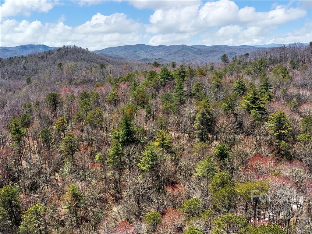 Lot 4 Pine Shore Drive