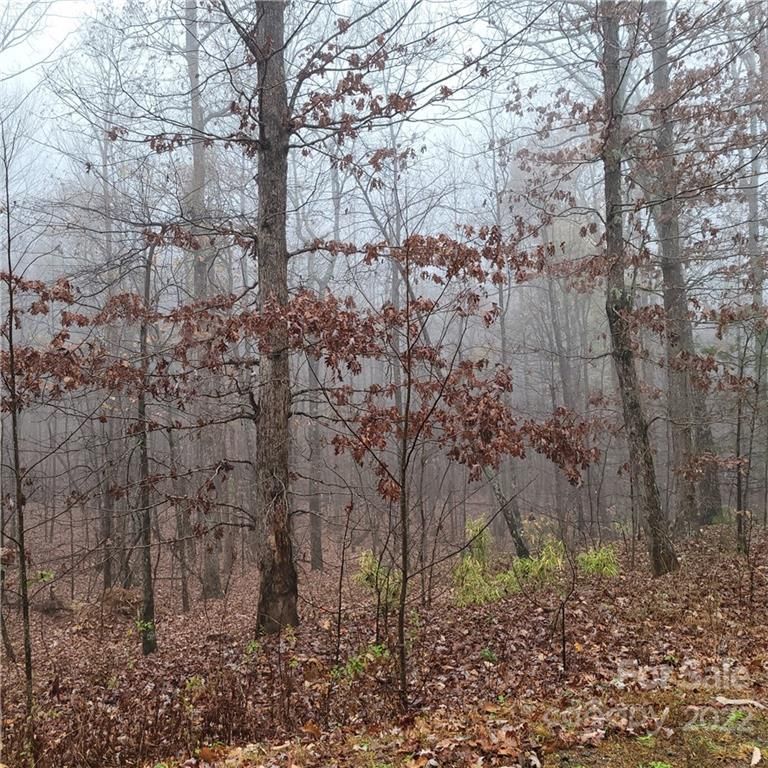 88 Adirondack Trail