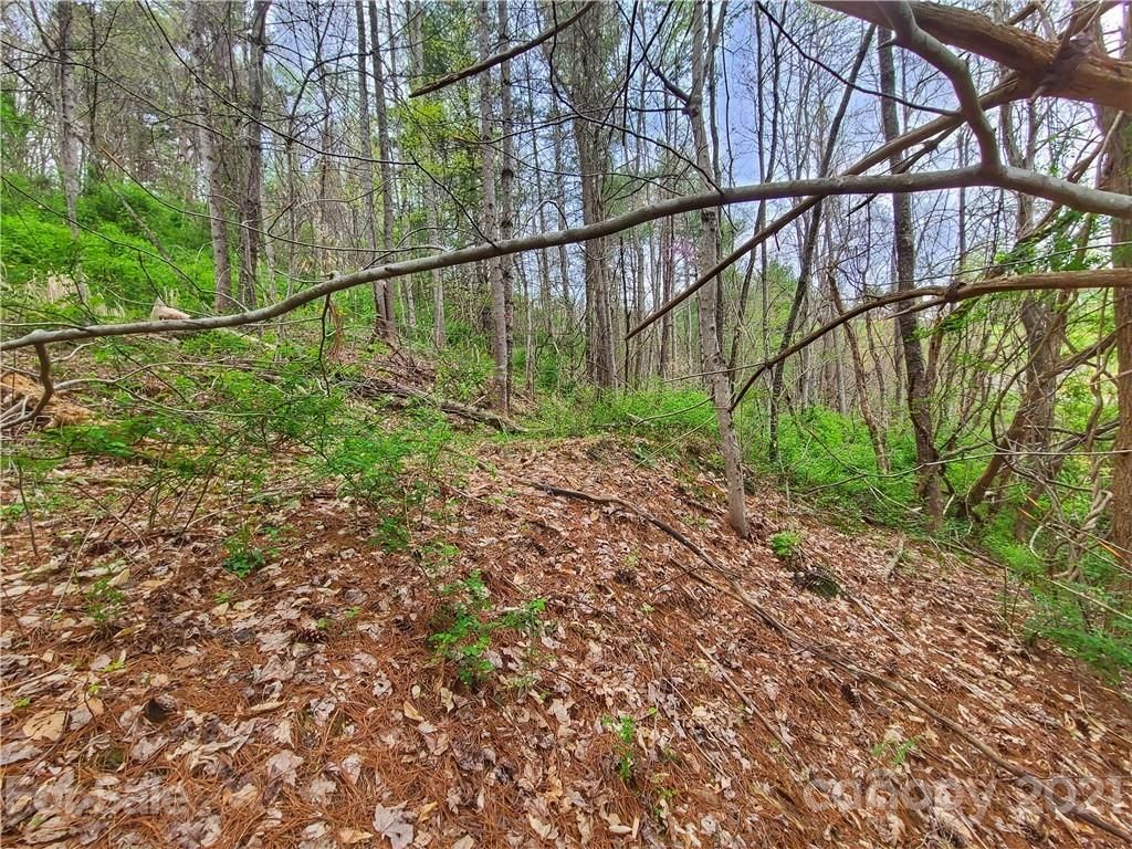 175 Blackberry Cove Drive