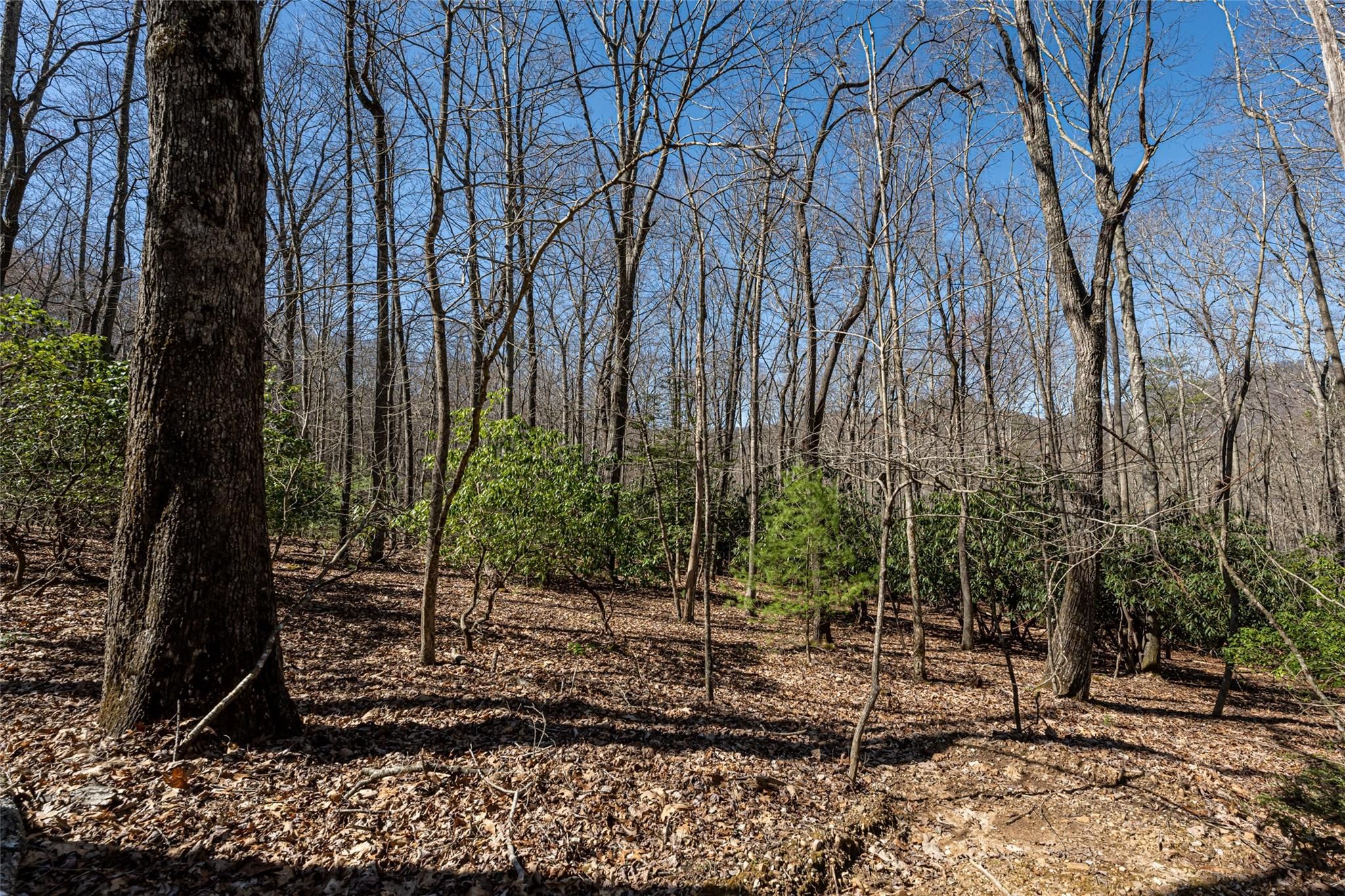 552 Avery Creek Road