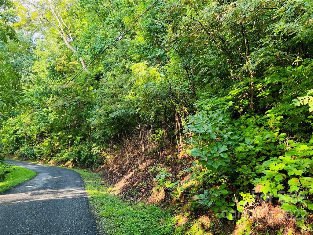 99999 Dogwood Forest Road