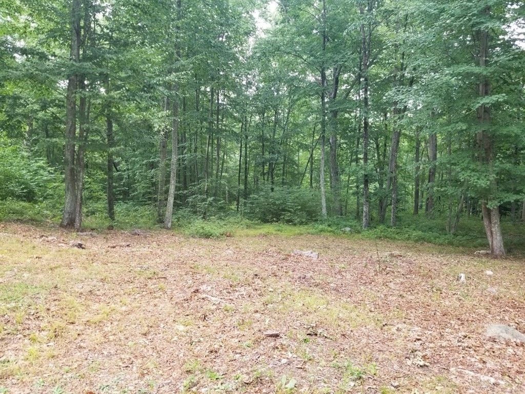 156 Zeigler Rd