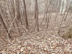 00 Creekside Circle