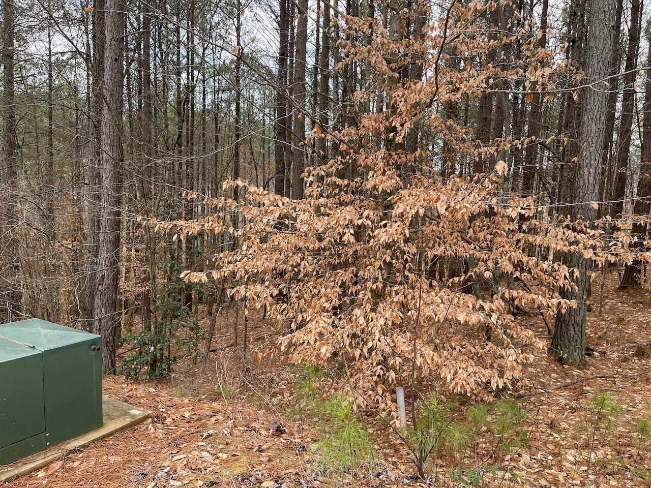 Lot 7 Broadwater Drive