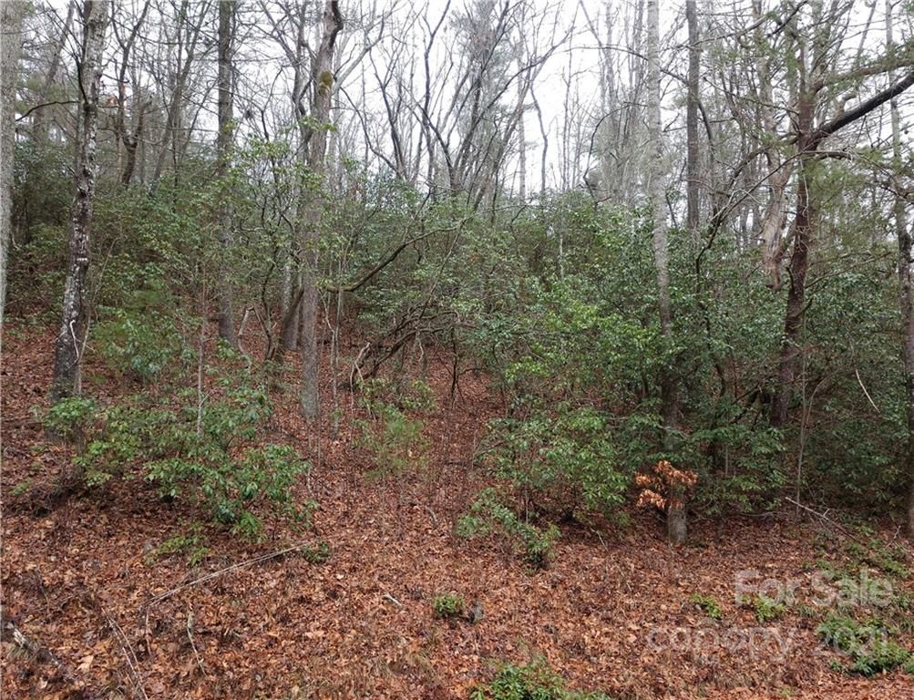 00 Old Mt Olivet Road