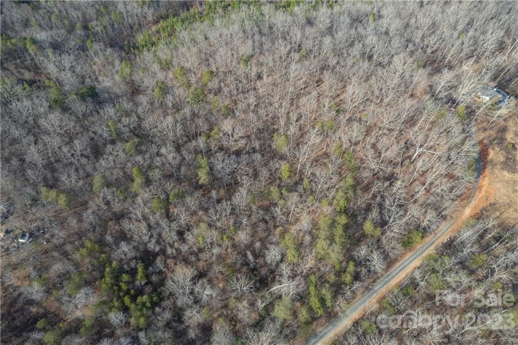 Pine Hill Drive