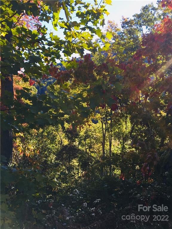 115 High Hickory Trail