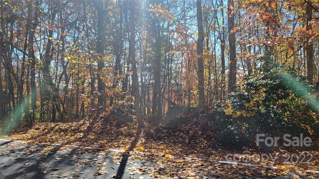 99999 Hemlock Trail