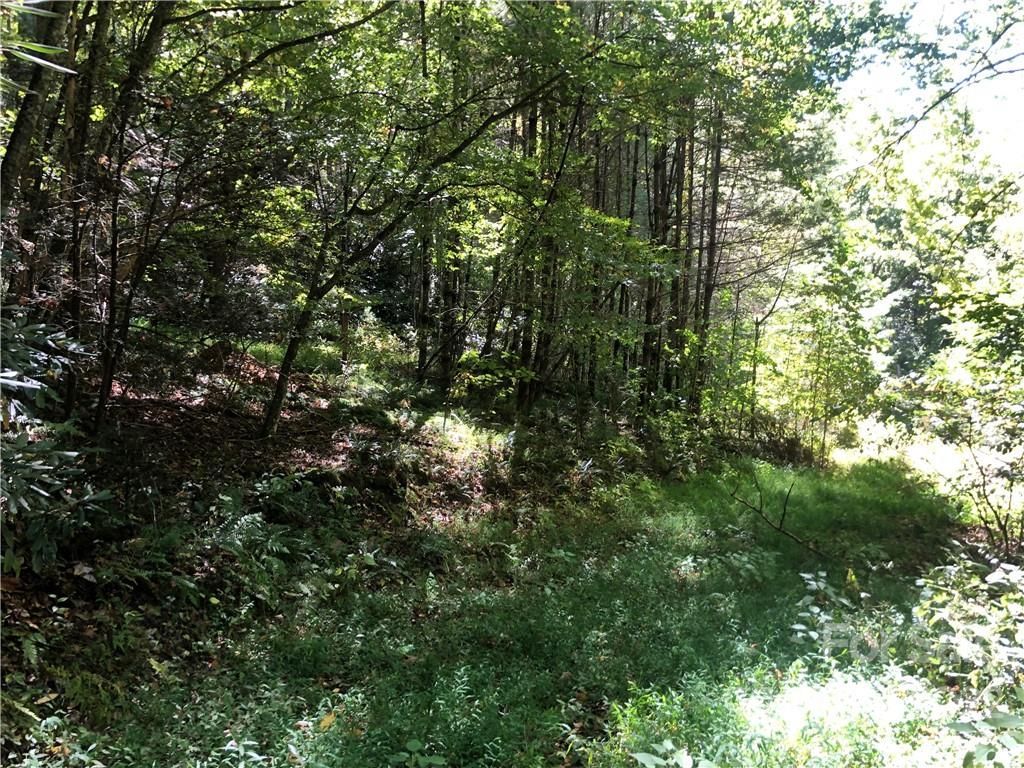 000 Grassy Gap Road