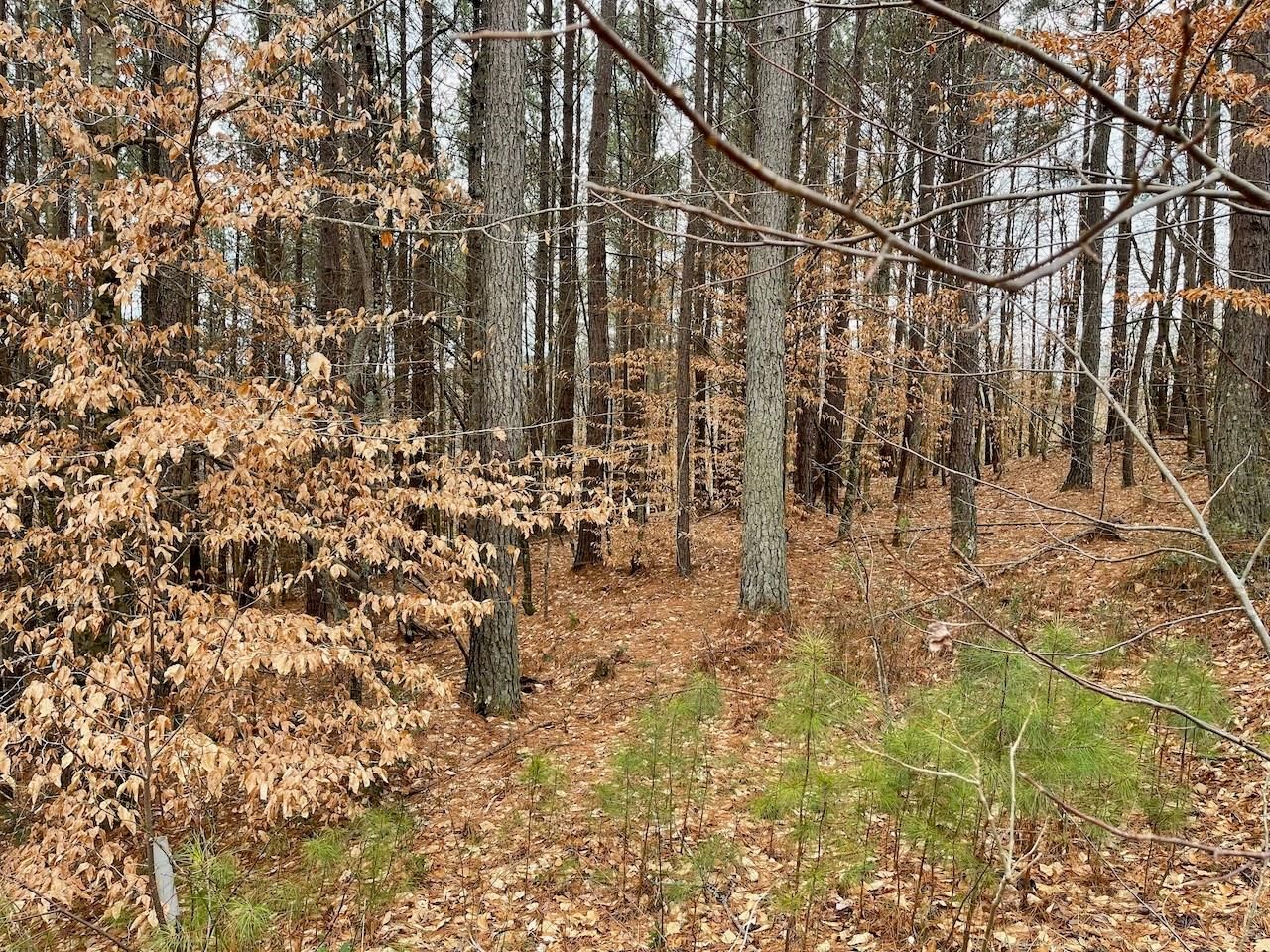 Lot 7 Broadwater Drive
