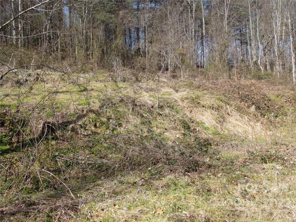 80 Walking Horse Trail