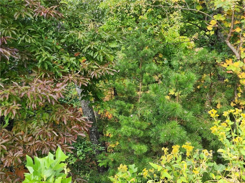 Lot 240 Rock Ledge Drive
