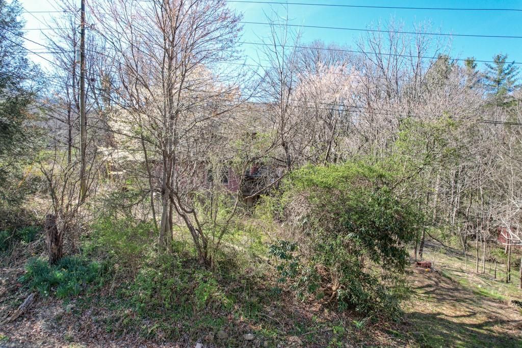 195 Old Lakey Gap Road