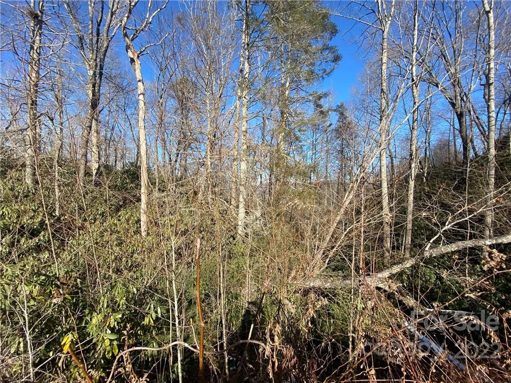 Tbd Pisgah Forest Drive
