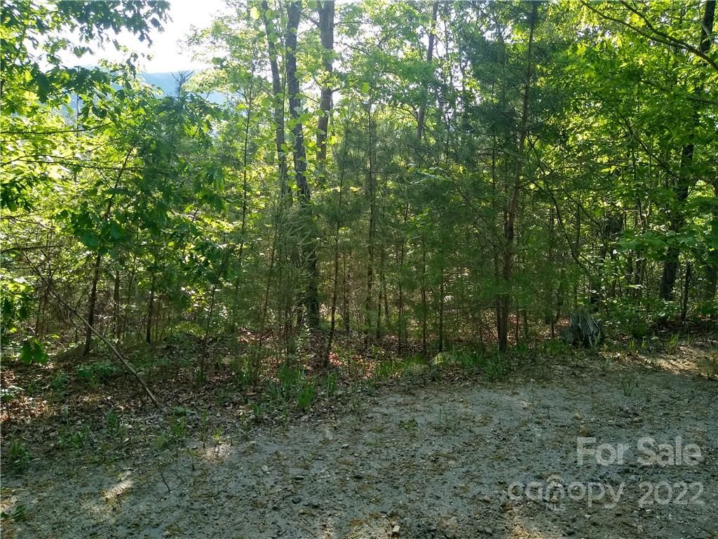 Lot 221 Davids Drive