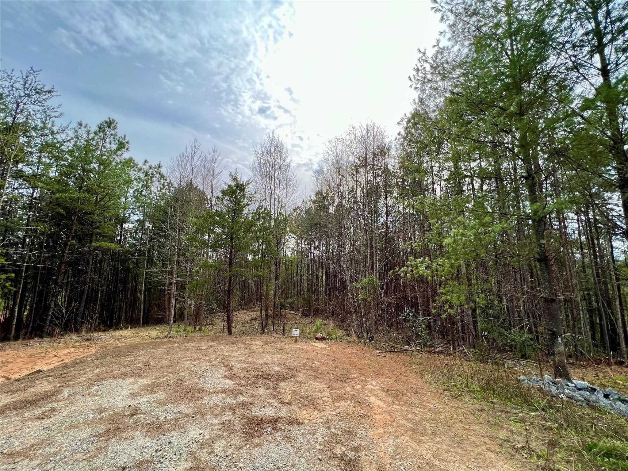 1.096 Acres Lot Cb-17 Low Country Road