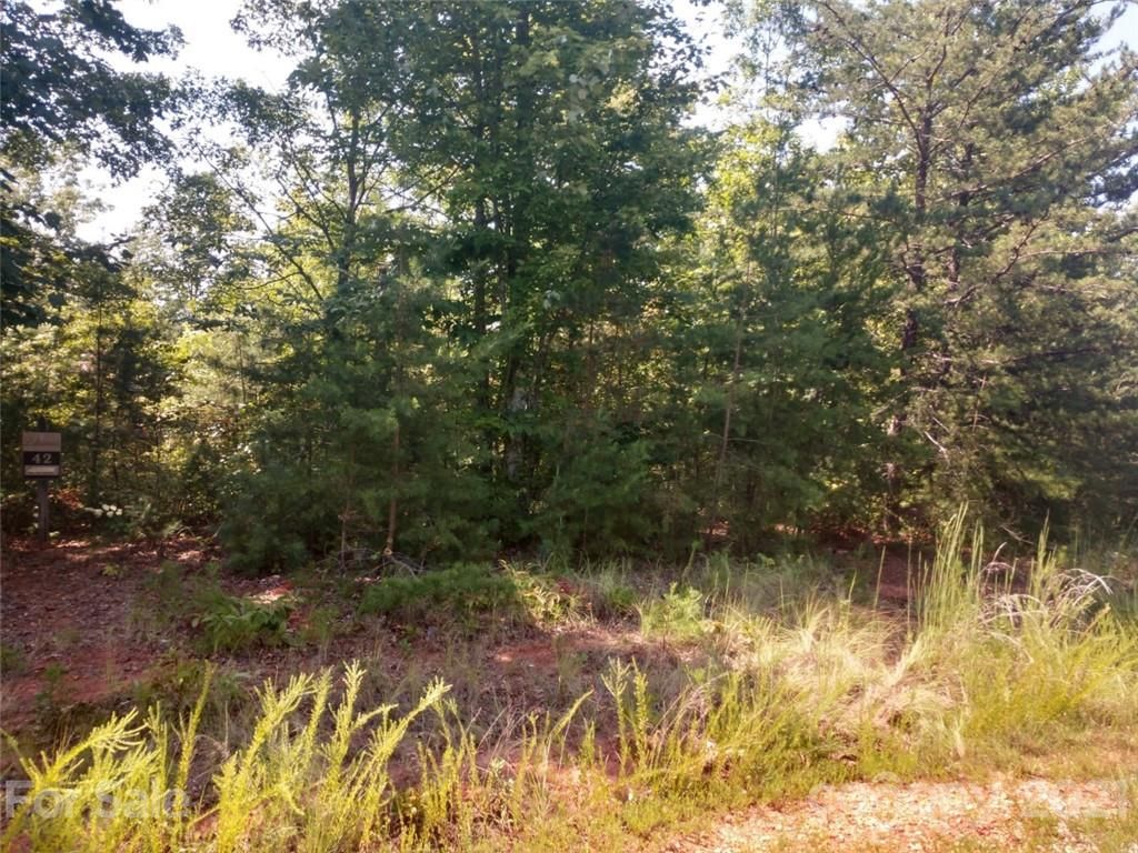 00 Bald Eagle Lane