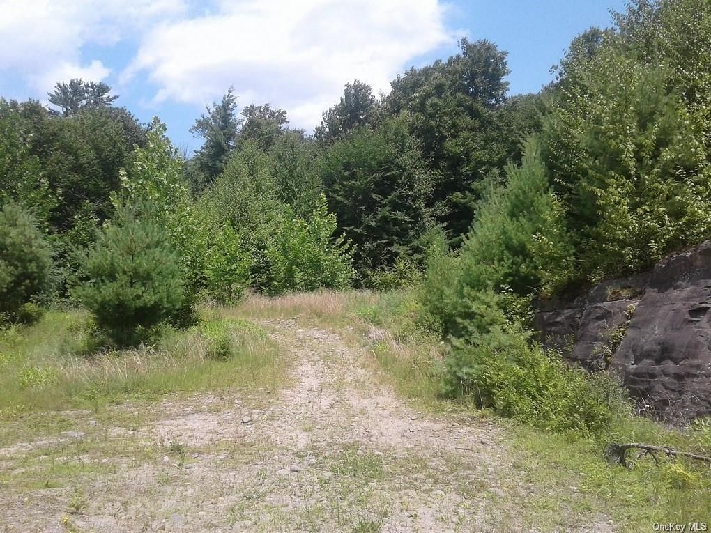 Hasbrouck Road Tr 96