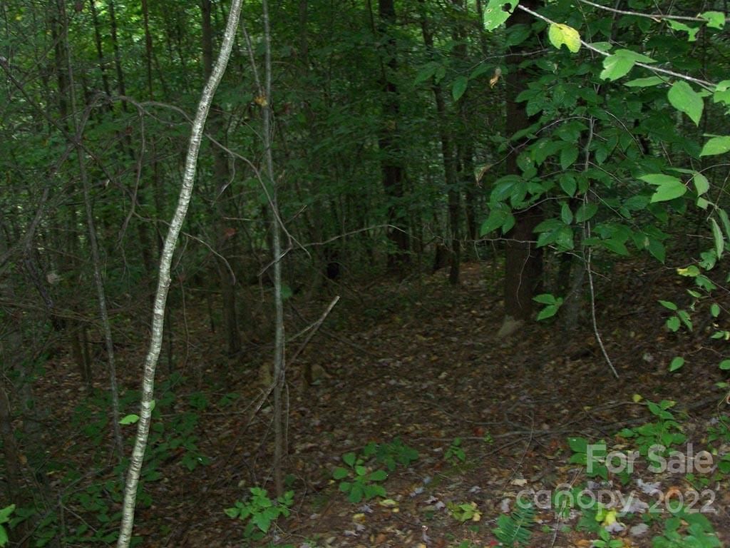 Lot 11 Running Deer Lane
