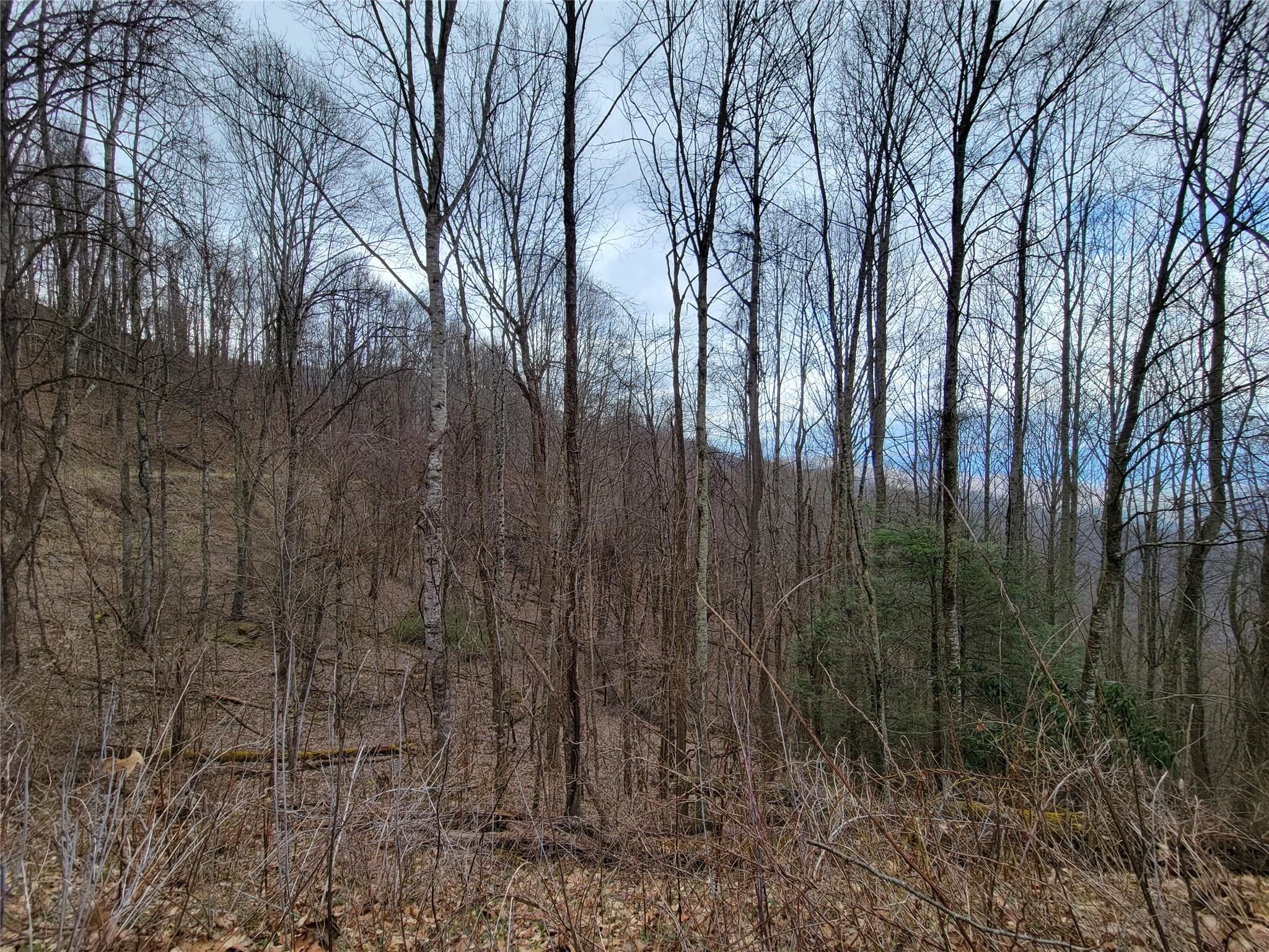 Lot 25 Bearwallow Road