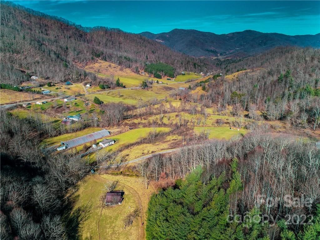 230 Split Pine Cove