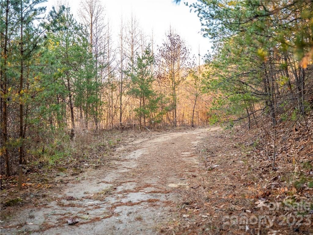 717 Hunters Ridge Road