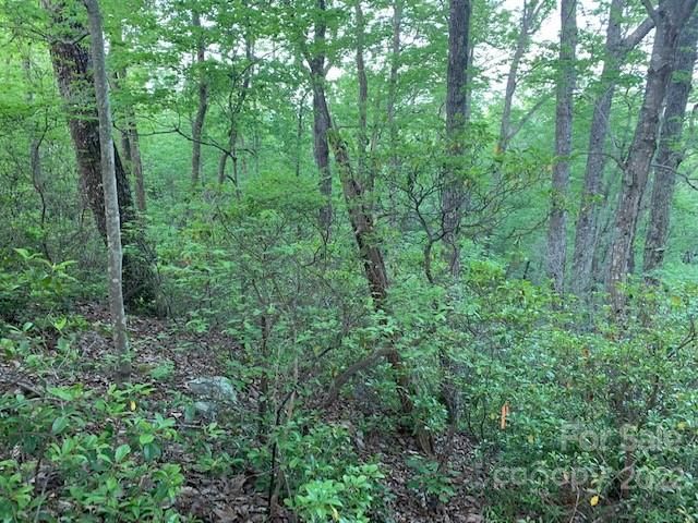0000 Hawks Nest Trail