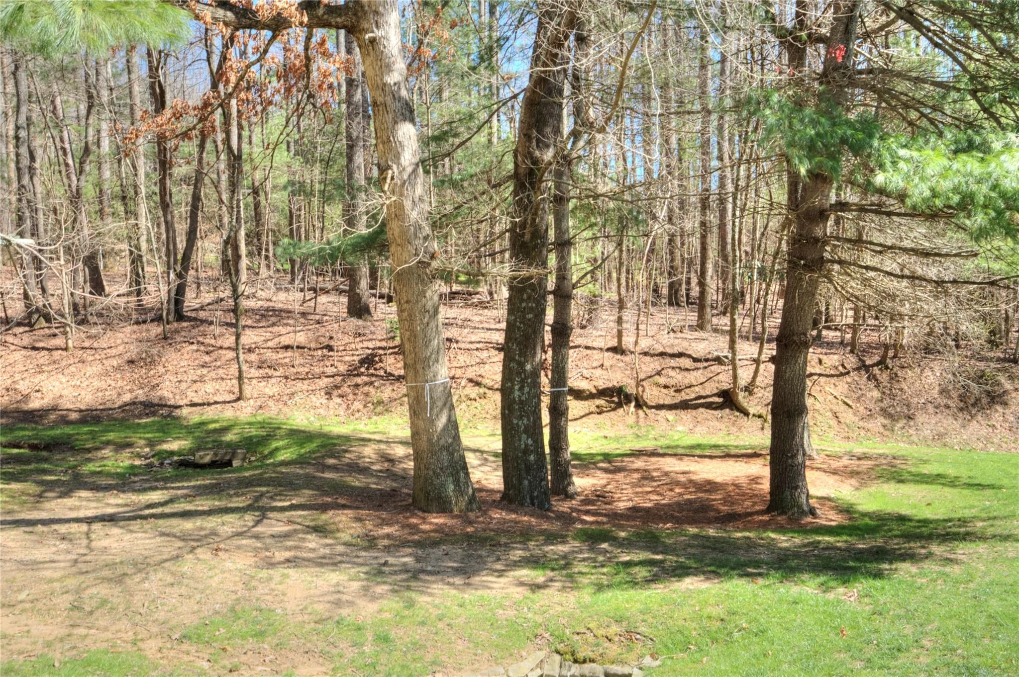 1008 Indian Cave Road