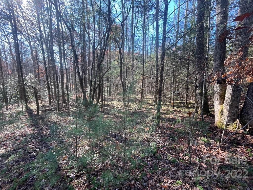 Tbd Green Hollow Lane