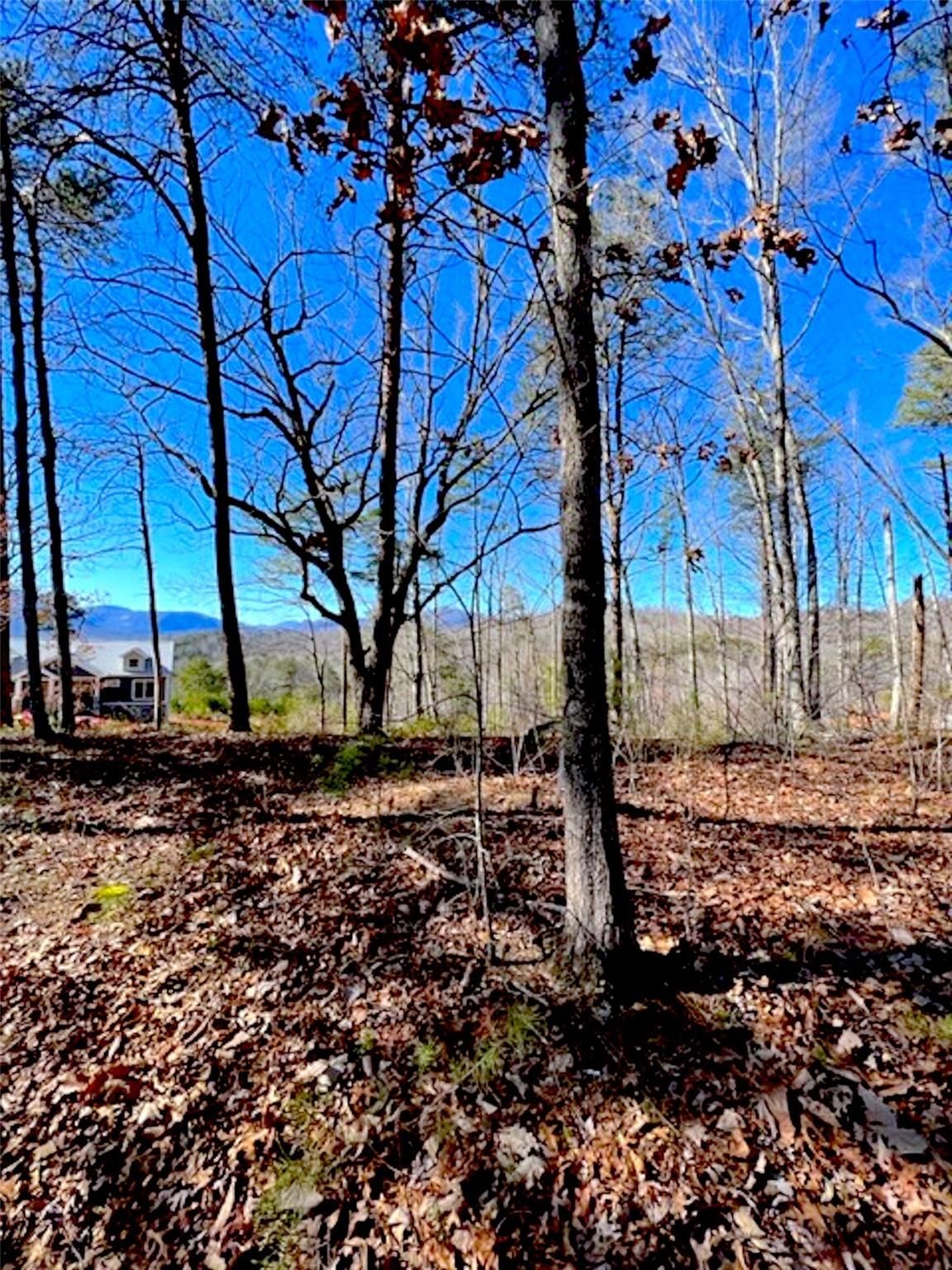 Deer Jump Trail