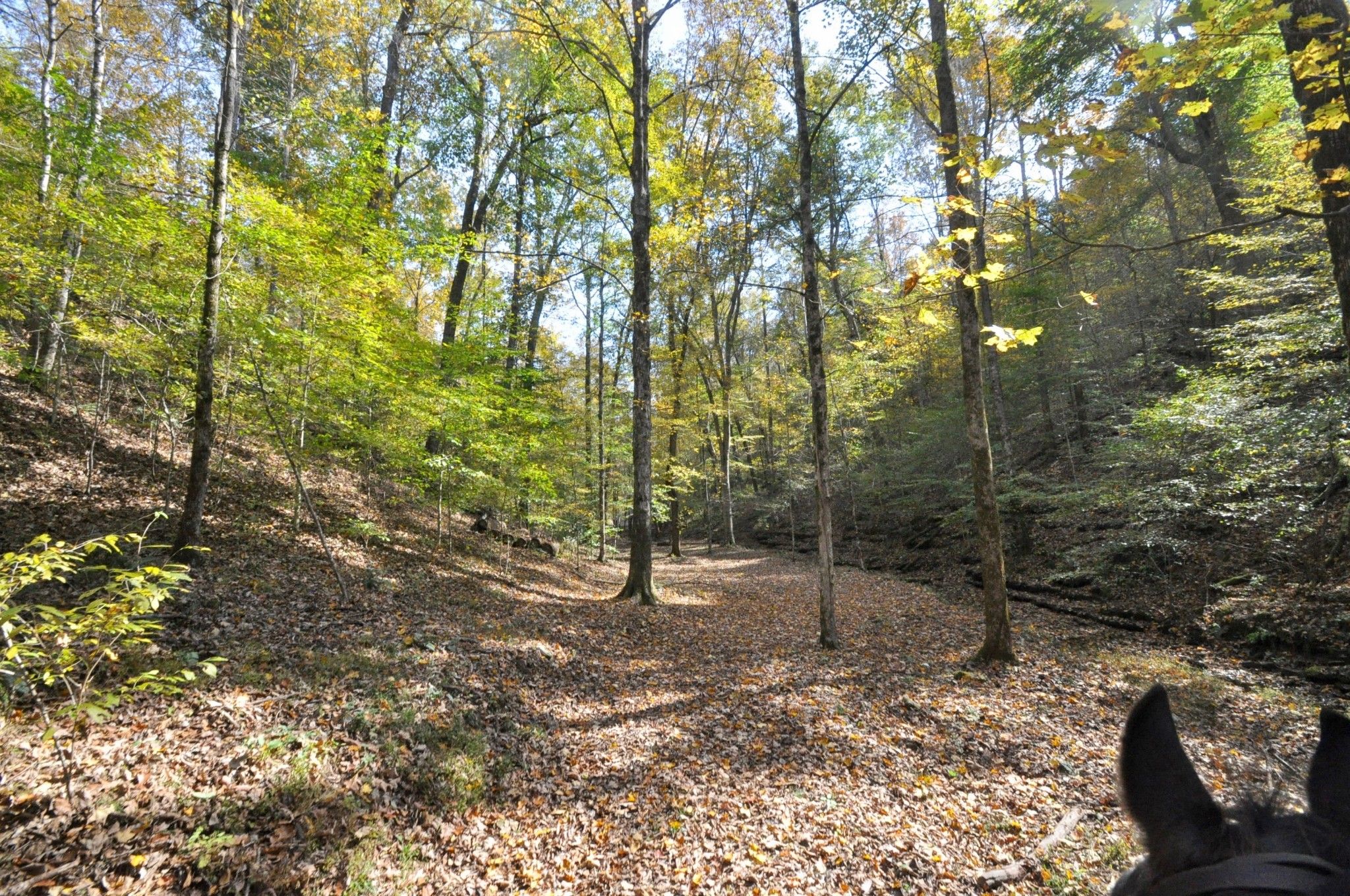 Freedom Hollow Rd
