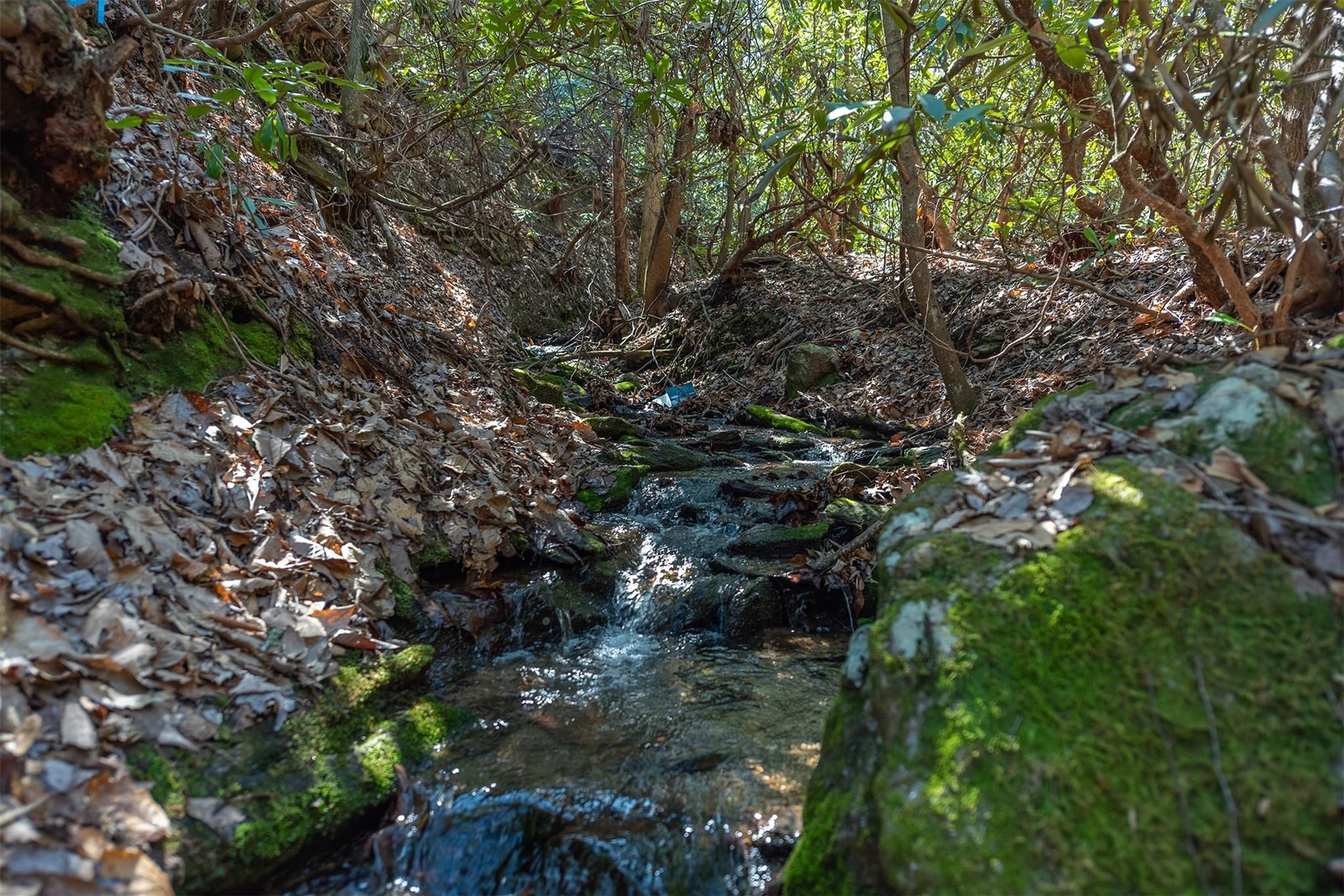 18 Little Bear Creek Road