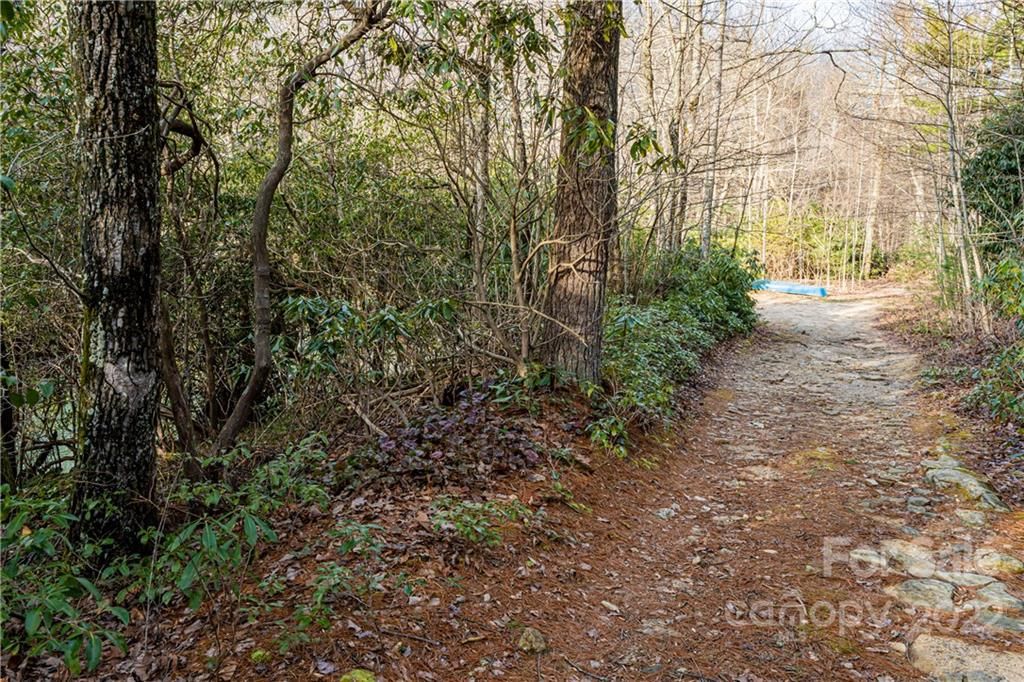 0000 Bear Paw Ridge Road
