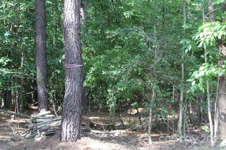 218 Table Rock Trace