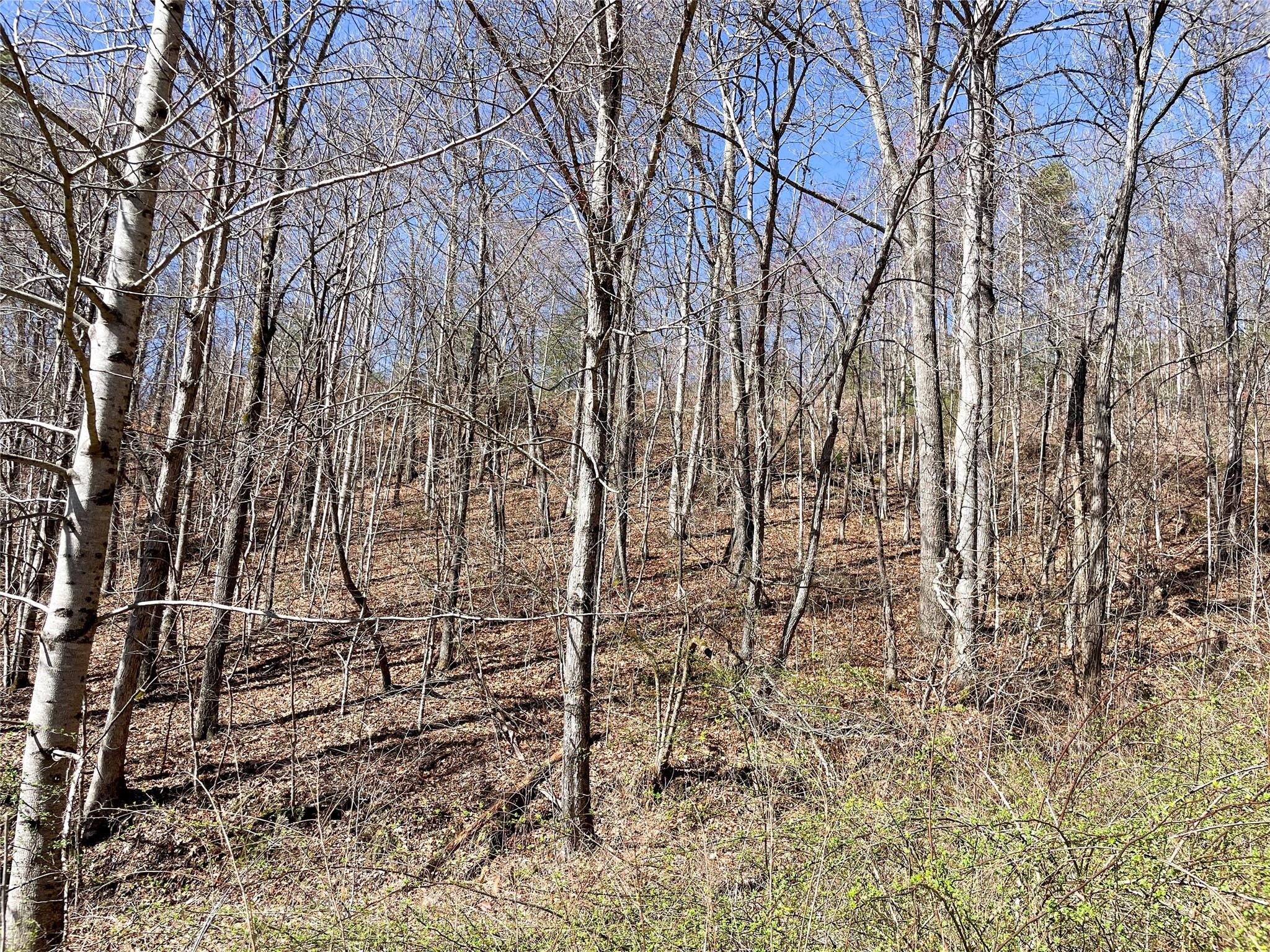 Lot 59 Eagles Roost Road