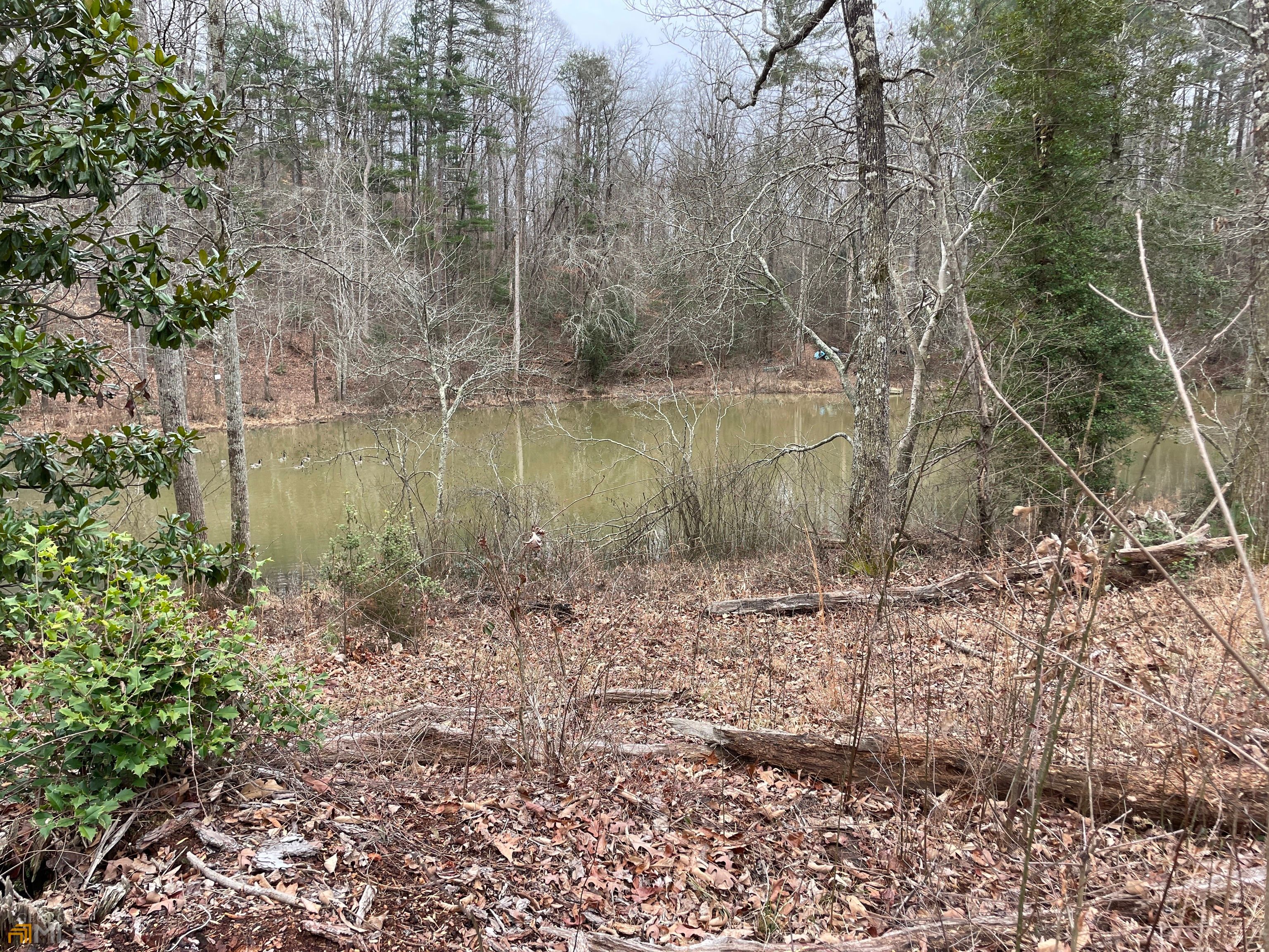 211 Stewart Cove Road