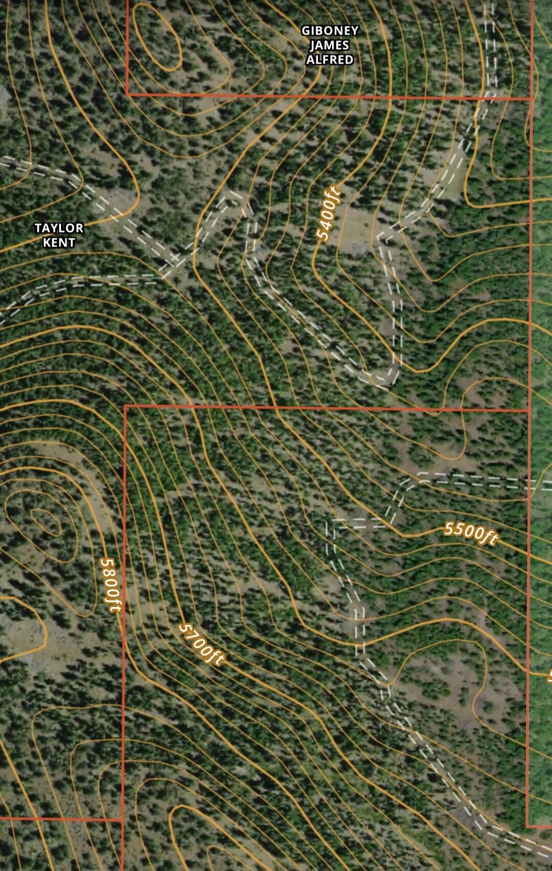 1000 Drews Gap Lane