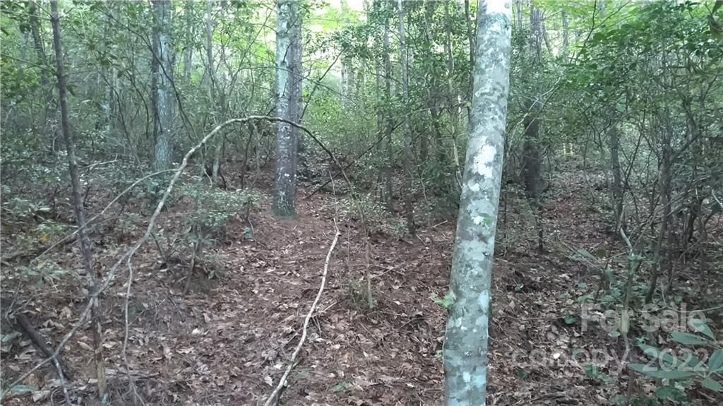 Lot 12 Deer Ridge Trail