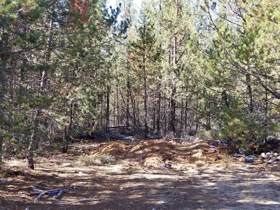 15725 Deedon Road