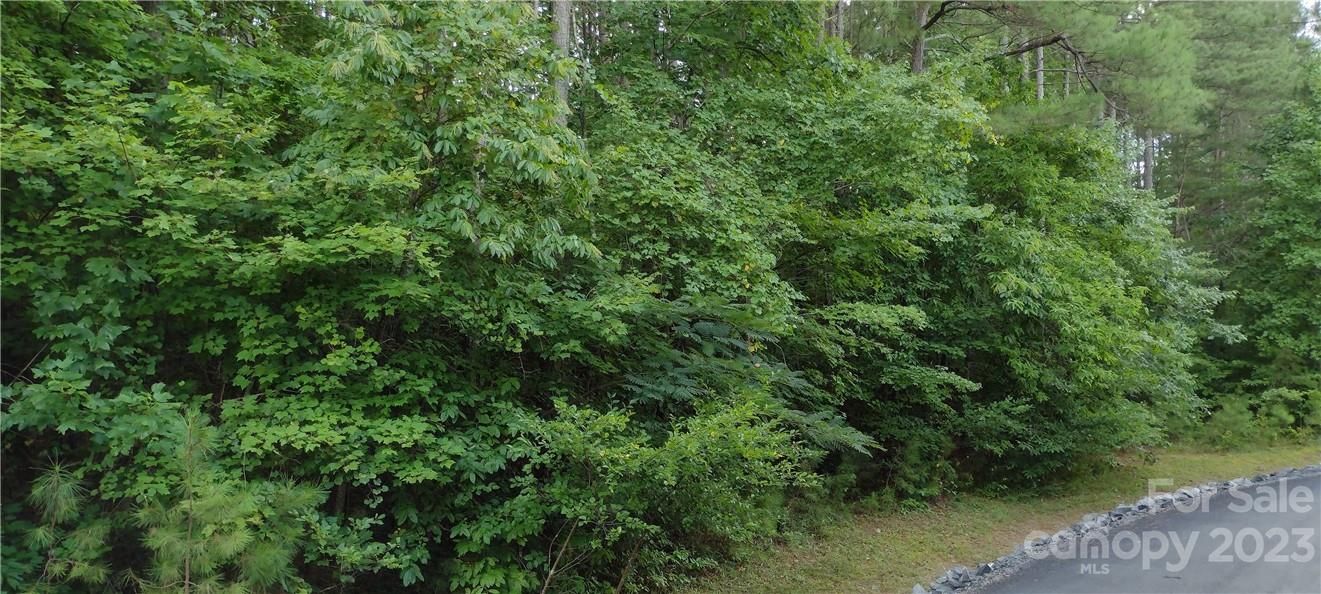 Lot 20-Iv-A Hidden Lake Parkway