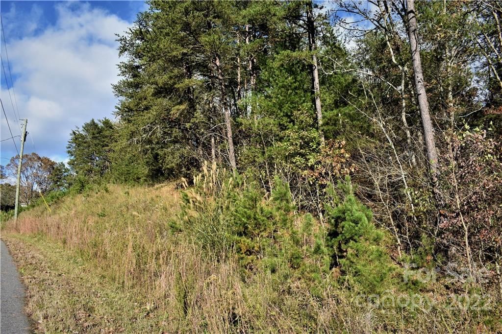 Lot 3/4 Big Rocky Top Drive