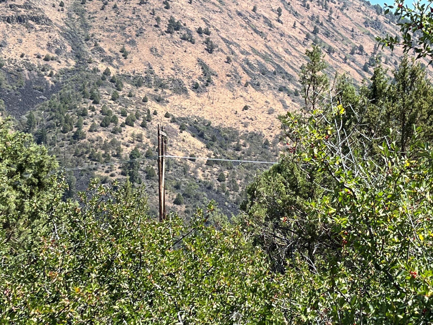 Lot 41 Peregrine Heights
