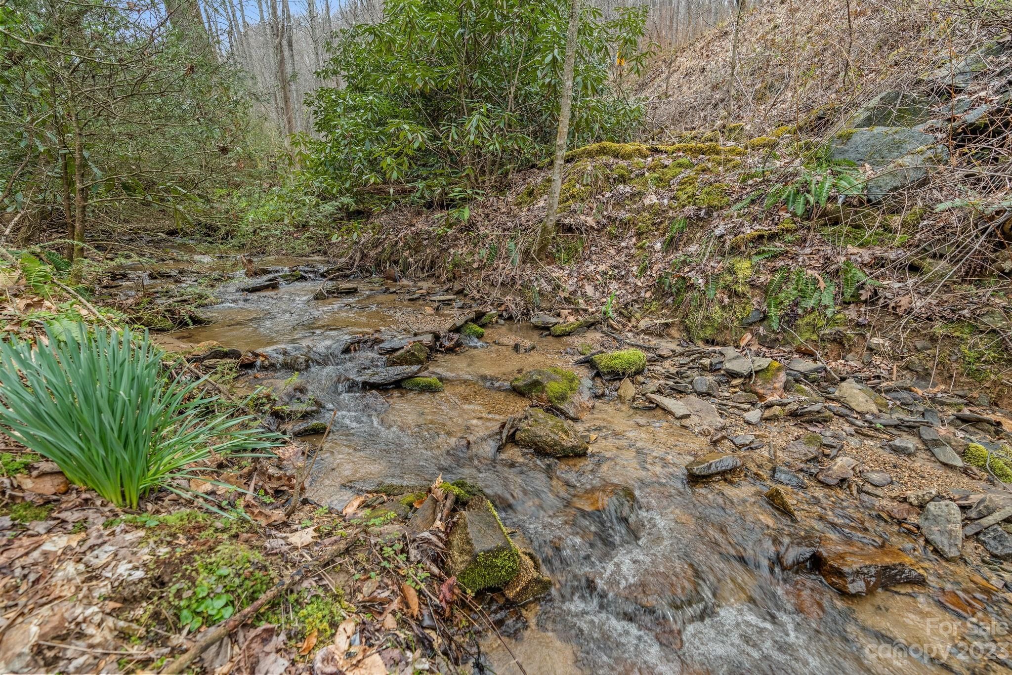 1081 Garren Creek Road