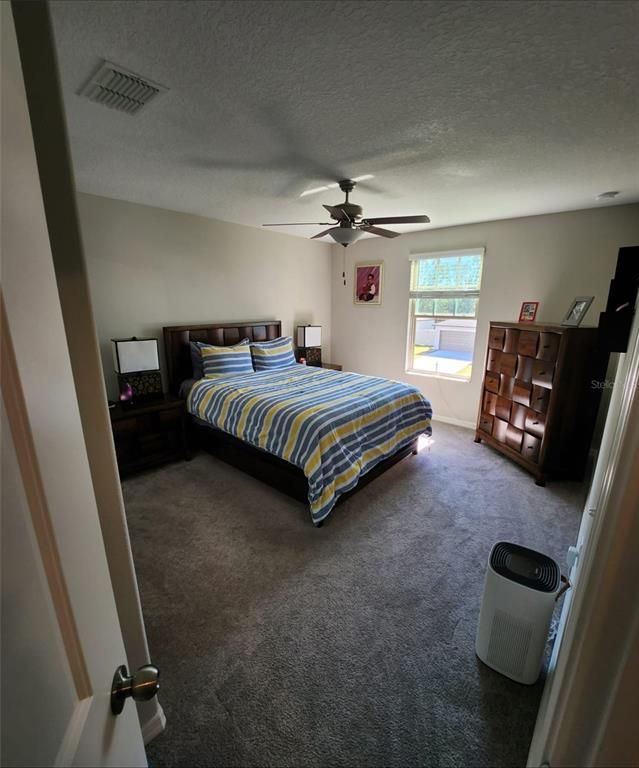 4221 Salt Springs Lane
