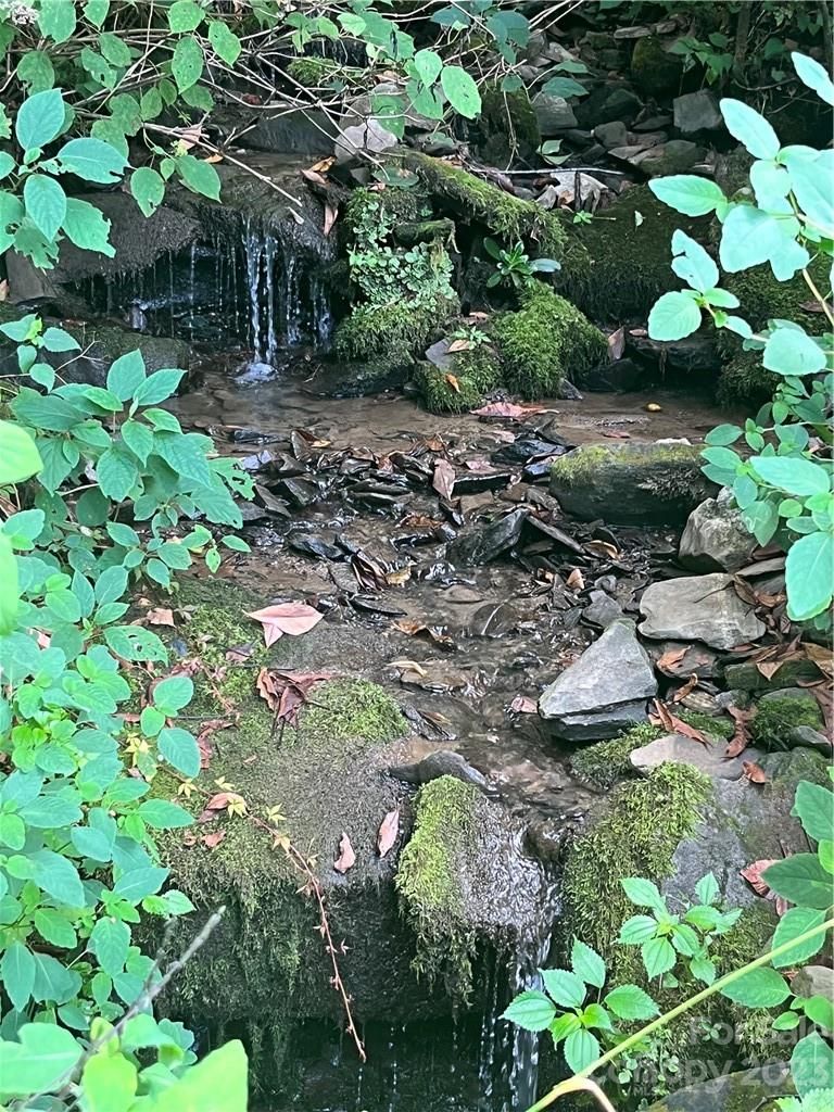 00 Cowee Mountain Road