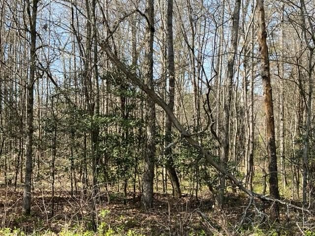 00 Camp Creek Road